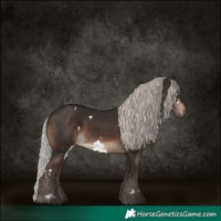 Horse Color:White Spotted Silver Brown 