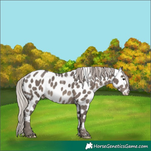 Horse Color:Powder White Silver Black Leopard