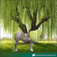 Horse Color:Powder White Painted Silver Grullo