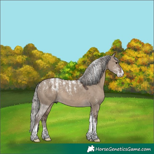 Horse Color:Powder White Silver Grullo 