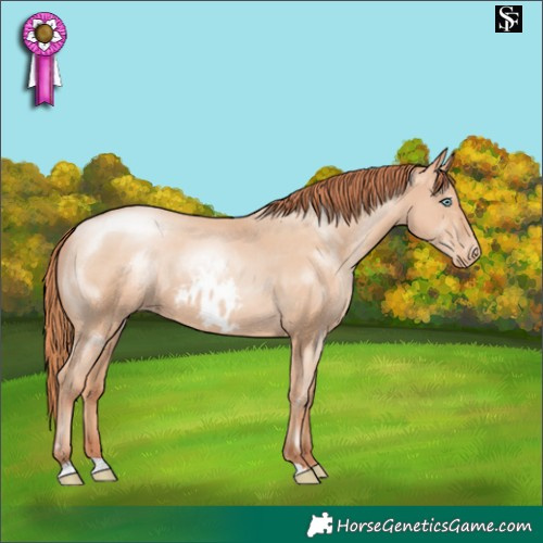 Horse Color:Sable Champagne Pearl Skewed LP Spotted