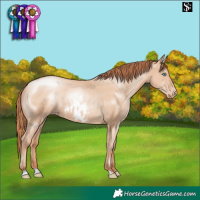 Horse Color:Sable Champagne Pearl Skewed LP Spotted