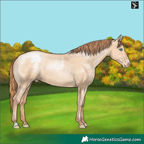 Horse Color:Amber Champagne Pearl Skewed LP Spotted 