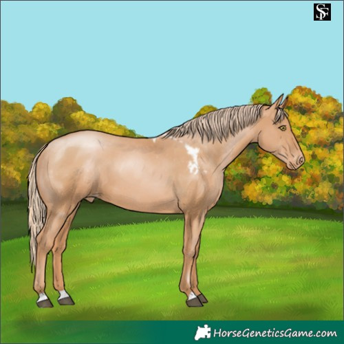 Horse Color:Chestnut Pearl Skewed LP Spotted 