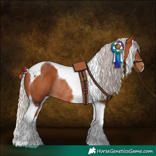 Horse Color:Silver Bay Tobiano Rabicano 