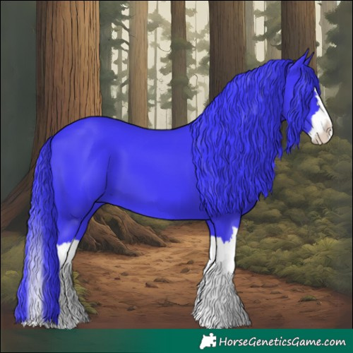 Horse Color:Watercolor Black Splash 