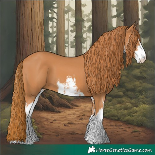Horse Color:White Spotted Chestnut 