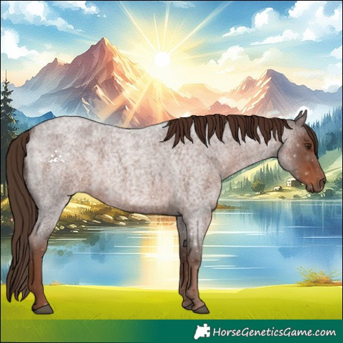 Horse Color:Liver Red Roan 