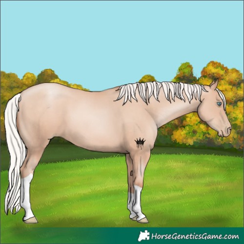 Horse Color:Silver Sable Champagne Pearl Tobiano 