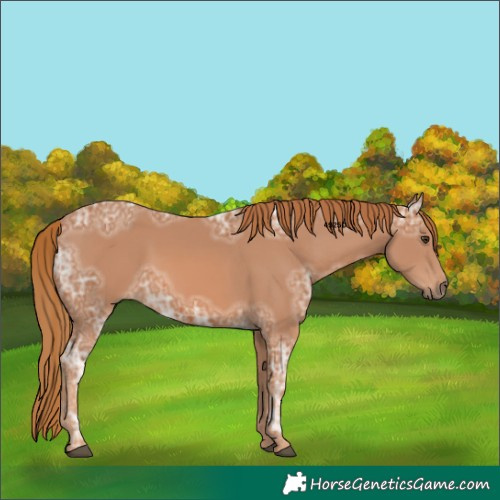 Horse Color:Chestnut Ice 