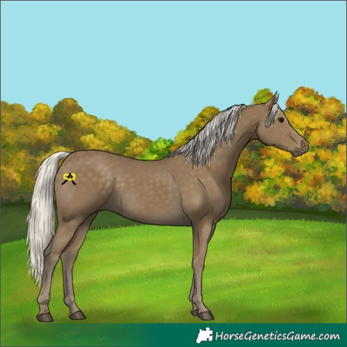 Horse Color:Silver Smoky Black Rabicano 