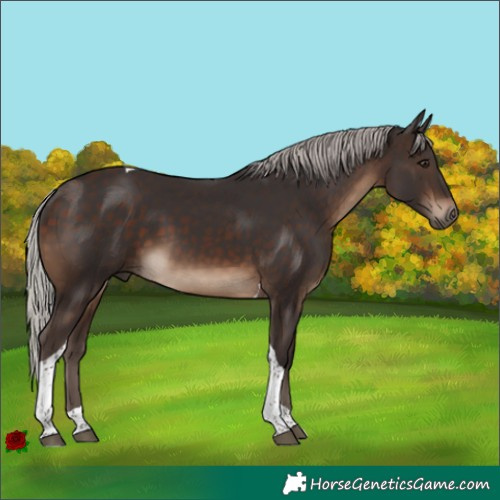 Horse Color:Silver Brown Tobiano 