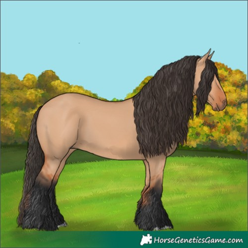 Horse Color:Bay Dun 