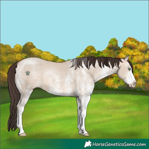 Horse Color:White Spotted Sable Champagne Dun