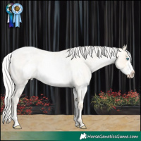 Horse Color:White Spotted Silver Smoky Grullo Roan Pearl Frame