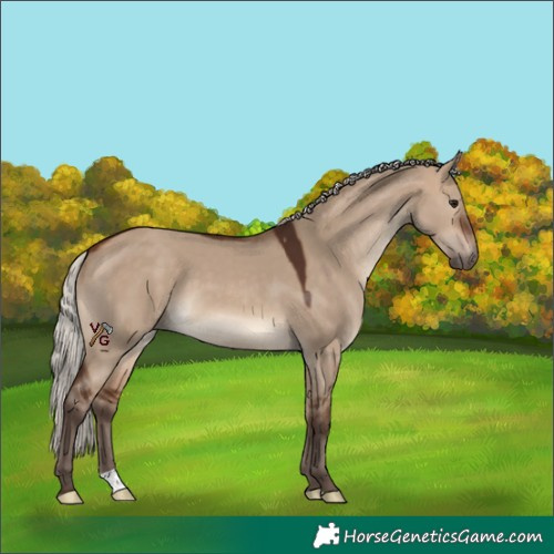 Horse Color:Silver Brown Dun 