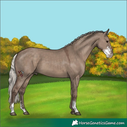 Horse Color:Silver Grullo Sabino