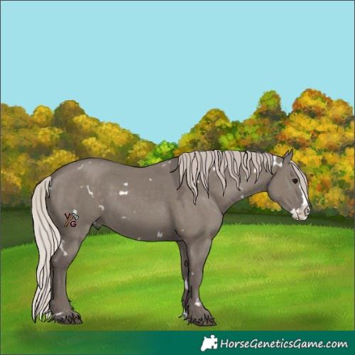 Horse Color:White Spotted Silver Grullo Splash 