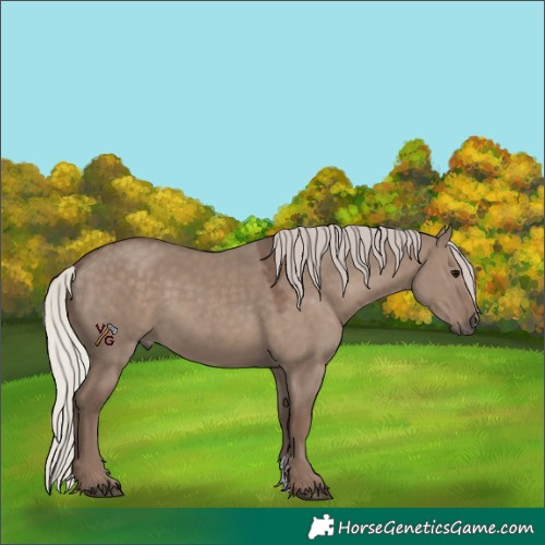 Horse Color:Silver Grullo Sabino