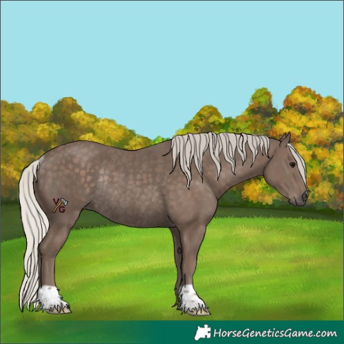 Horse Color:Silver Black Rabicano 