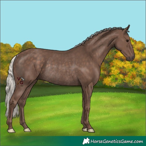 Horse Color:Silver Black Rabicano