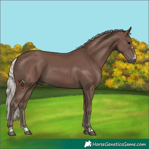 Horse Color:Silver Black