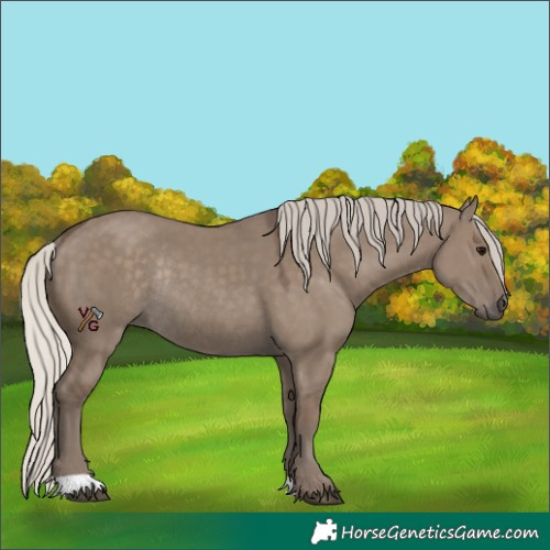 Horse Color:Silver Grullo Rabicano