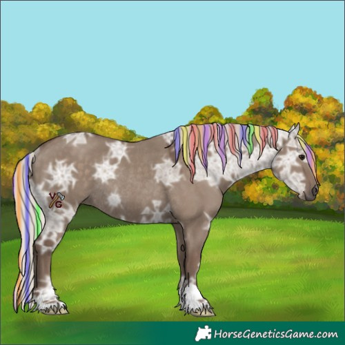 Horse Color:Painted Silver Grullo Ice Rabicano 