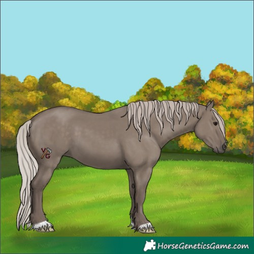 Horse Color:Silver Grullo