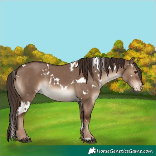 Horse Color:White Spotted Liver Red Dun Varnish 