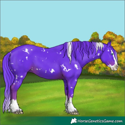 Horse Color:Watercolor White Spotted Liver Chestnut Splash
