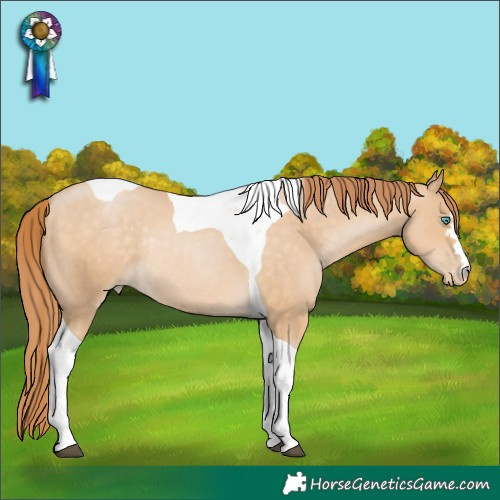 Horse Color:Brown Tobiano Rabicano