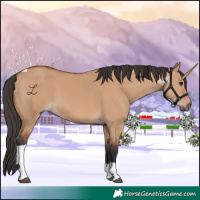 Horse Color:Bay Dun Tobiano 