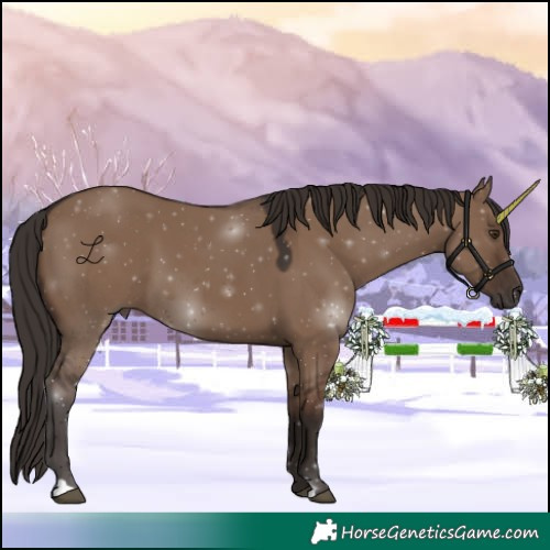 Horse Color:Liver Red Dun 