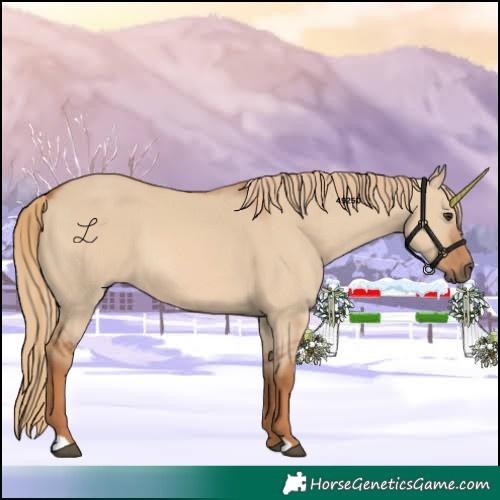 Horse Color:Red Dun 