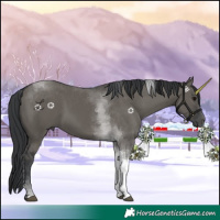 Horse Color:Grullo Tobiano 