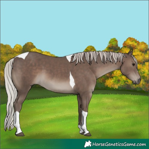 Horse Color:Silver Black Tobiano