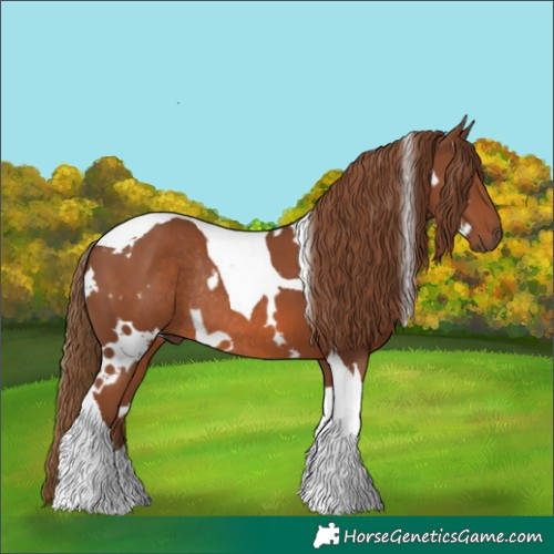 Horse Color:White Spotted Chestnut Tobiano Rabicano 