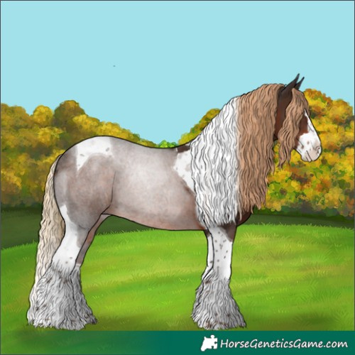 Horse Color:Liver Chestnut Splash Tobiano Rabicano 