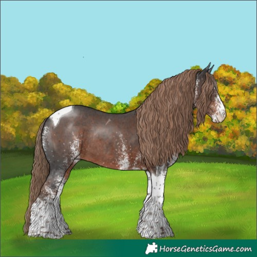 Horse Color:White Spotted Liver Chestnut Tobiano Rabicano 