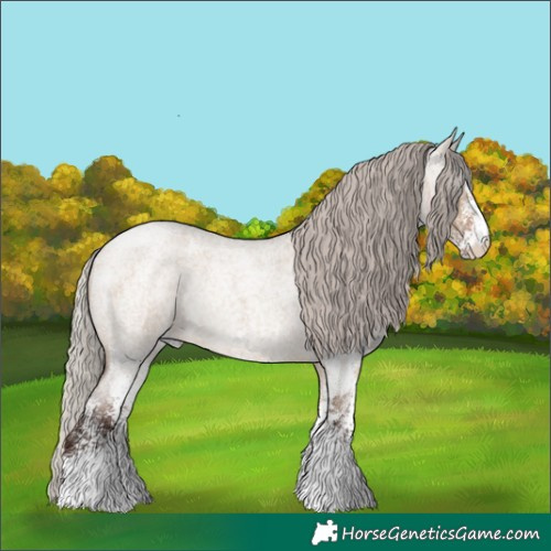 Horse Color:White Spotted Silver Brown Roan Dun Rabicano