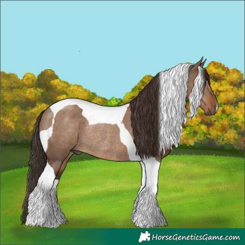 Horse Color:Liver Red Dun Tobiano Rabicano