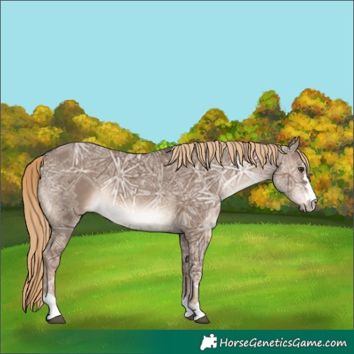 Horse Color:Liver Red Dun Ice Rabicano