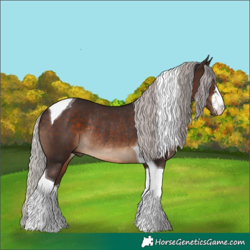 Horse Color:White Spotted Silver Brown Tobiano Rabicano 