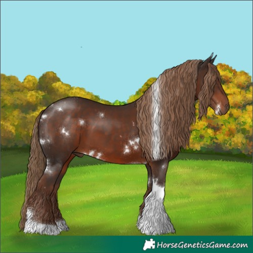 Horse Color:White Spotted Liver Chestnut Tobiano Rabicano