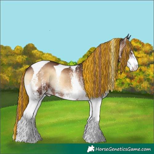 Horse Color:Painted White Spotted Liver Red Onyx Tobiano Rabicano 