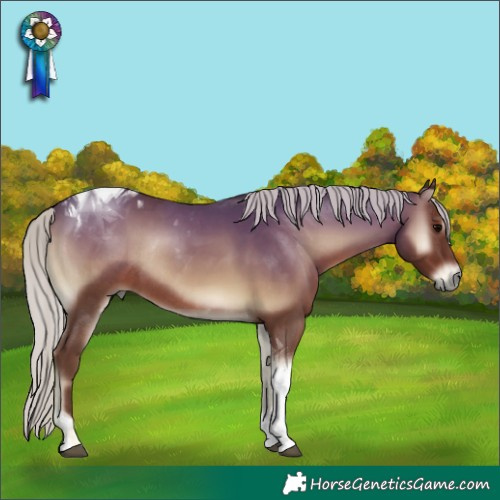 Horse Color:Silver Blue Onyx Tobiano Rabicano