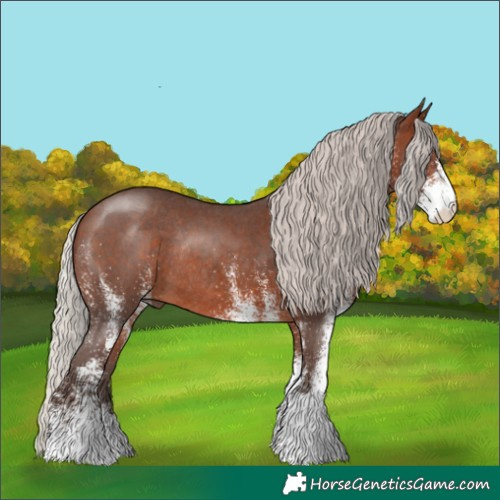 Horse Color:White Spotted Silver Brown Rabicano