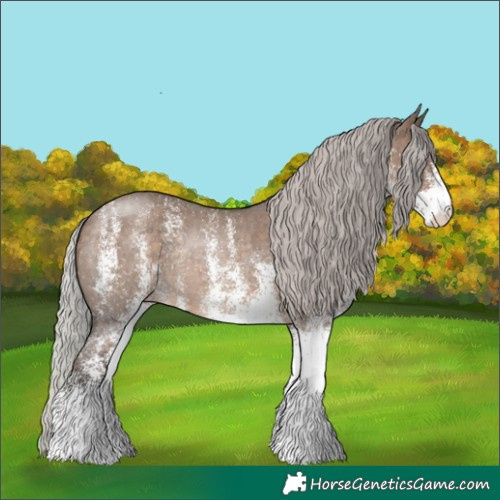 Horse Color:White Spotted Silver Brown Dun Rabicano 