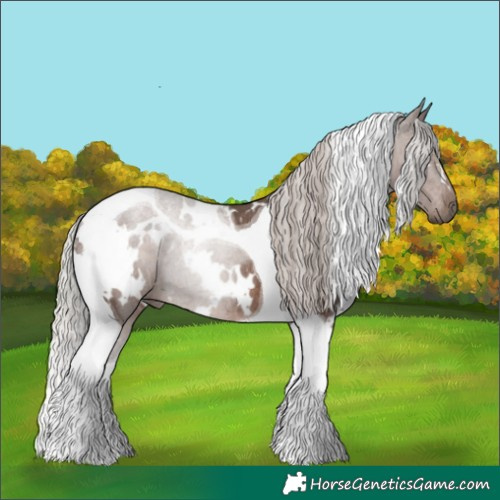Horse Color:White Spotted Silver Black Tobiano Rabicano